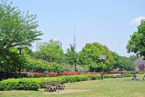 Kiba Park